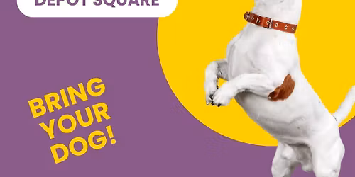 Bark & Buy On the Loop: Unleashing Fun for Everyone!