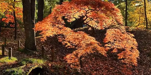 One Great Morning of Raking