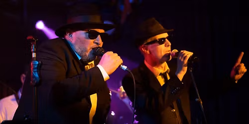 The Blooze Brothers in Concert