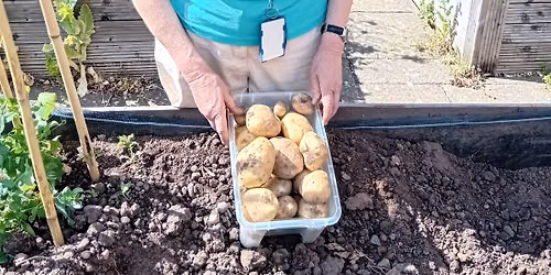 Chatham Place Accessible Gardening Project