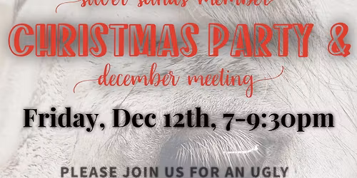 SSBC Member Christmas Party!!