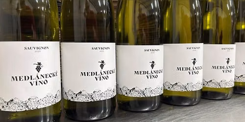 Ko\u0161t medl\u00e1neck\u00e9ho sauvignonu