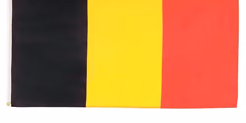 DINER SPECTACLE ANNUEL FRANCO-BELGE 