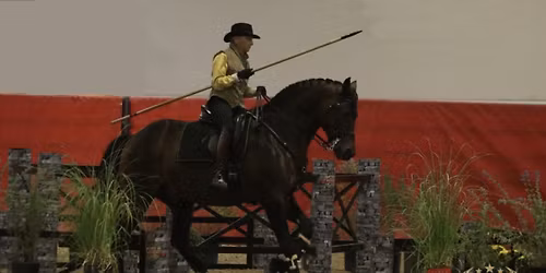 \u2728 Working Equitation Obstacle Clinic with Reta Conner \u2728