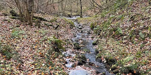 Yorkshire Classic MCC Champs trial round 9 - Keighley Gate