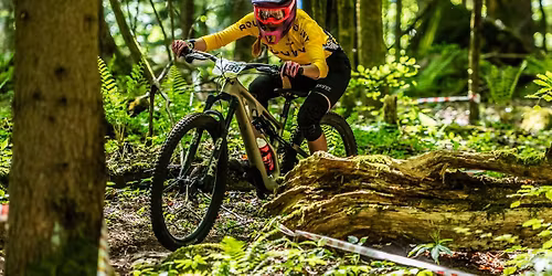 [SAGA] Blinduro X 2026