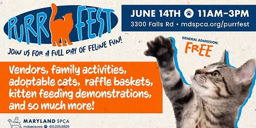Purrfest at the Maryland SPCA