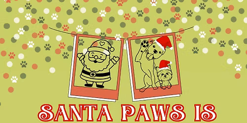 Photos with Santa Paws