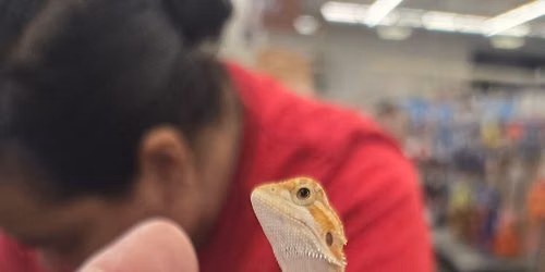 \ud83e\udd8e\u2728 Meet Our Pets: Reptile Event! \u2728\ud83d\udc0d