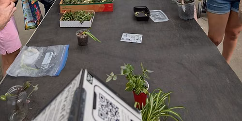 Sioux City, IA (West) - Houseplant Swap