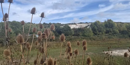 Unitarian Service 