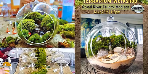 Living Moss Terrarium Globe| Grand River Cellars