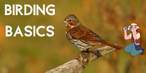 Birding Basics