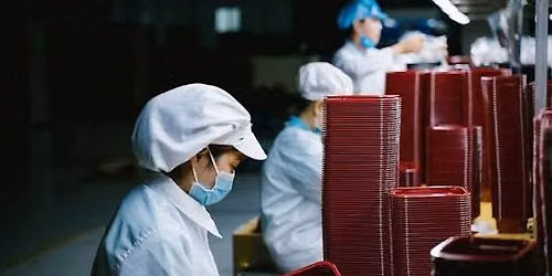 Guest worker migrants, marketization and exclusion in Central Europe