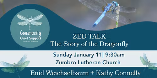ZED Talk: The Story of the Dragonfly
