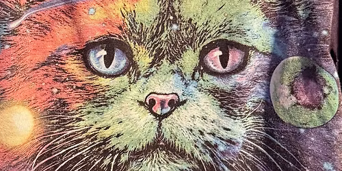 China Cats Grateful Dead Dance party at the Santa Cruz Vets Hall