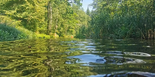  \u2600\ufe0f\ud83d\udef6 ZIELONY WEEKEND- 2x KAJAKI W PUSZCZY AUGUSTOWSKIEJ \ud83e\udd8c\ud83c\udf32