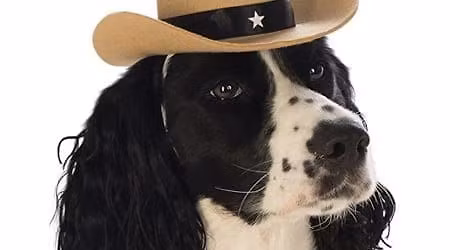Rodeo Dog Holiday Hoedown Trial