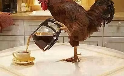 Coffee and Comeradarie