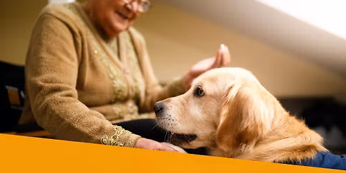 Plan With a Pal: End of Life Planning Workshop