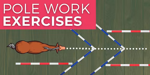 Cornwall Trec Group Winter Series, Flatwork with Poles with Cassy Gadsby - 2 