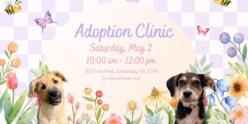 Adoption Clinic