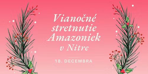 Viano\u010dn\u00e9 stretnutie Amazoniek v Nitre \ud83c\udf84