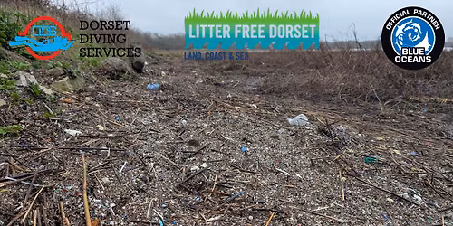 Great Dorset (Blue Oceans) Beach Clean & Nurdle Hunt - Holes Bay