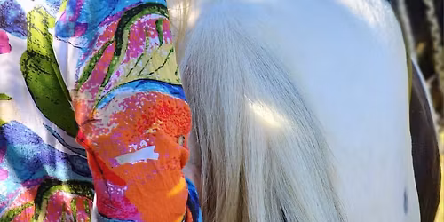 EQUINE FASCIA & TRAUMA RELEASE  MODULE 1 , DURBAN