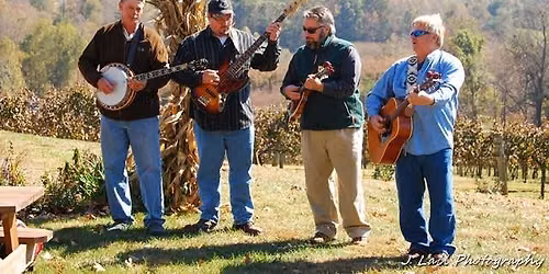 MUSIC - Wiregrass, Americanagrass