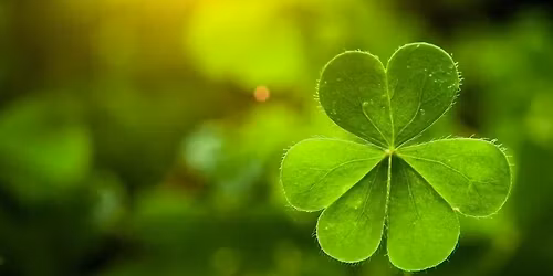 St Patrick\u2019s celebration at Rizzo\u2019s!