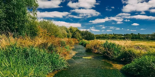 Spring walk at Winnall Moors Nature Reserve