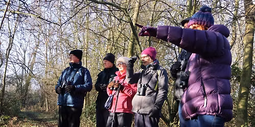 Nene Wetlands Wildlife Wander (3rd June)