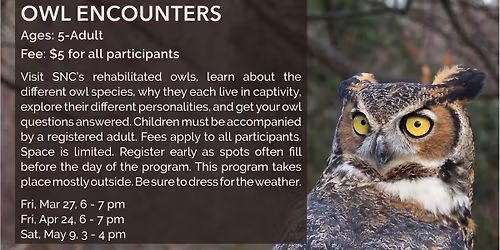 Owl Encounters 