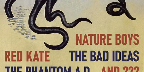 NATURE BOYS, RED KATE, THE BAD IDEAS, The PHANTOM AD and ???