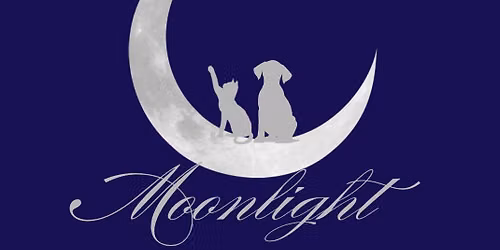 Whiskers in the Moonlight Presented by BMW