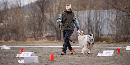 Trippelpinsestevne i Troms\u00f8 23.-25.mai