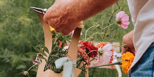 Sprout and Bloom Harvest Social