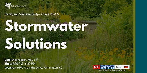 Backyard Sustainability Series: Stormwater Solutions