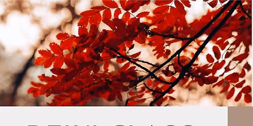 Reiki Class Level 3 Master Practitioner