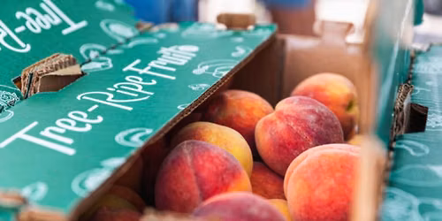 Tree Ripe Fruit Co. Peach Pop Up