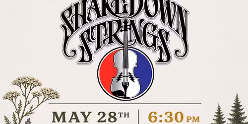 Shakedown Strings live at Wild Yarrow Brewing 