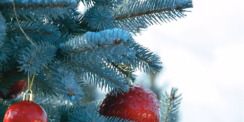 Julemarked p\u00e5 Kulturarenaen