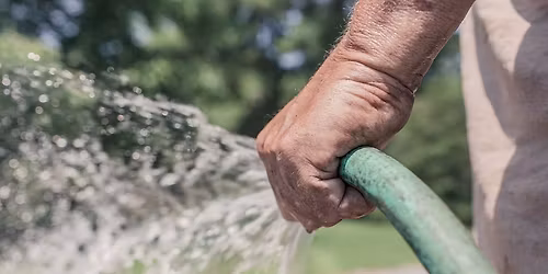 Summer Watering Survival Camp