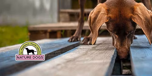 Cykl warsztat\u00f3w Nosework  \/ stycze\u0144 - czerwiec 