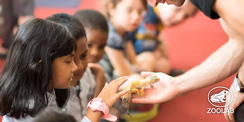 Animal Explorer Workshop