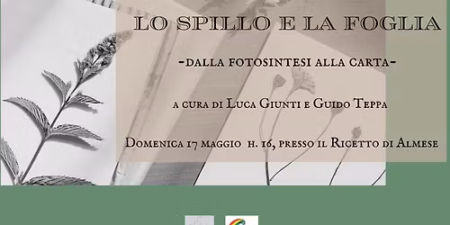 LO SPILLO E LA FOGLIA dalla fotosintesi alla carta a cura di Luca Giunti e Guido Teppa