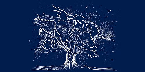Matariki Waiata Sing-Along