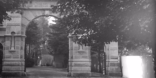 Solstice in the Cemetery: Night Walk Through Oak Hill