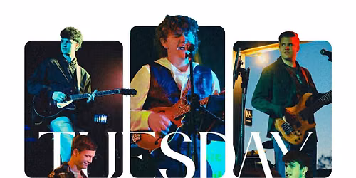 Tuesday Ark at Jammin Java